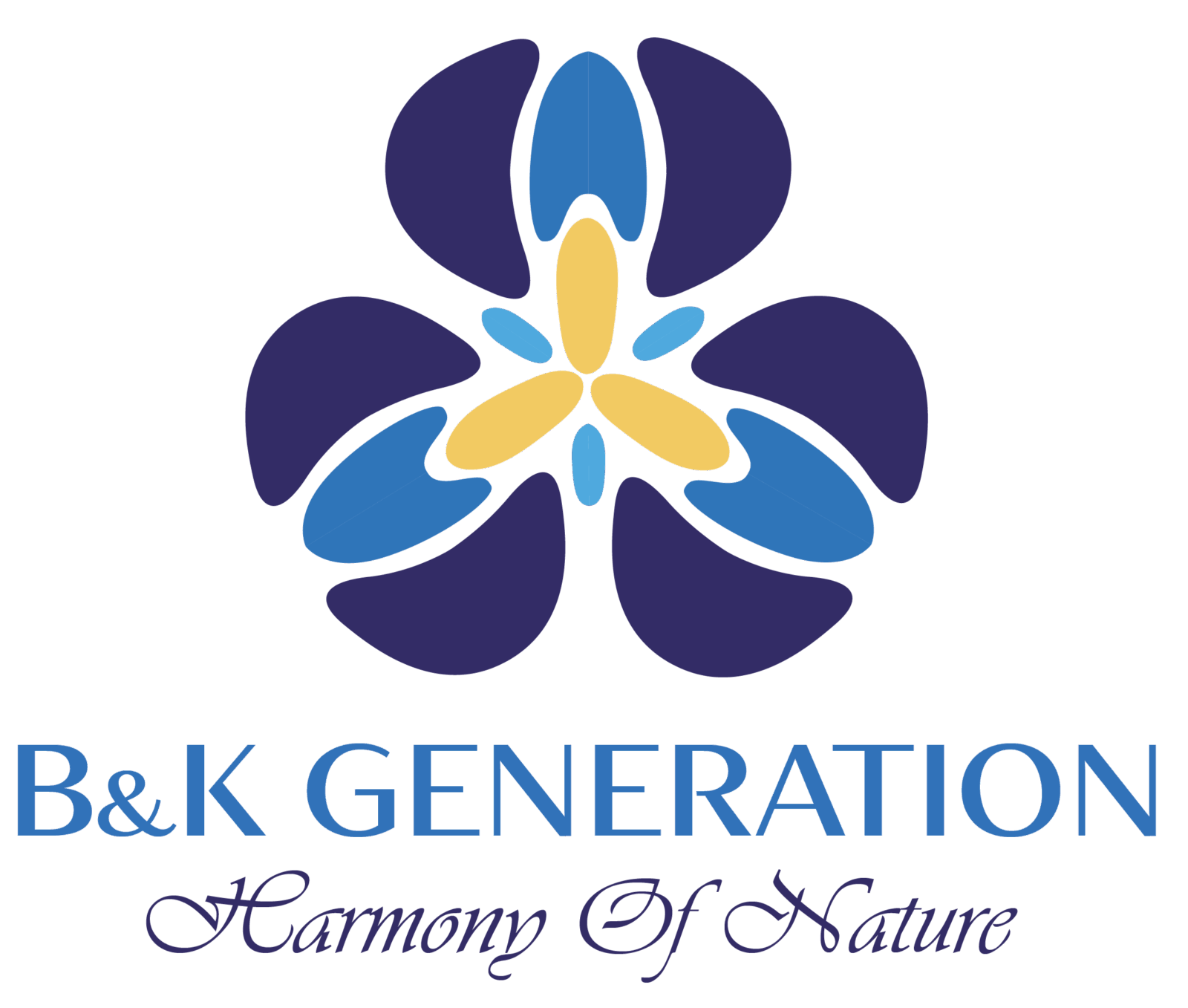 B&K Generation